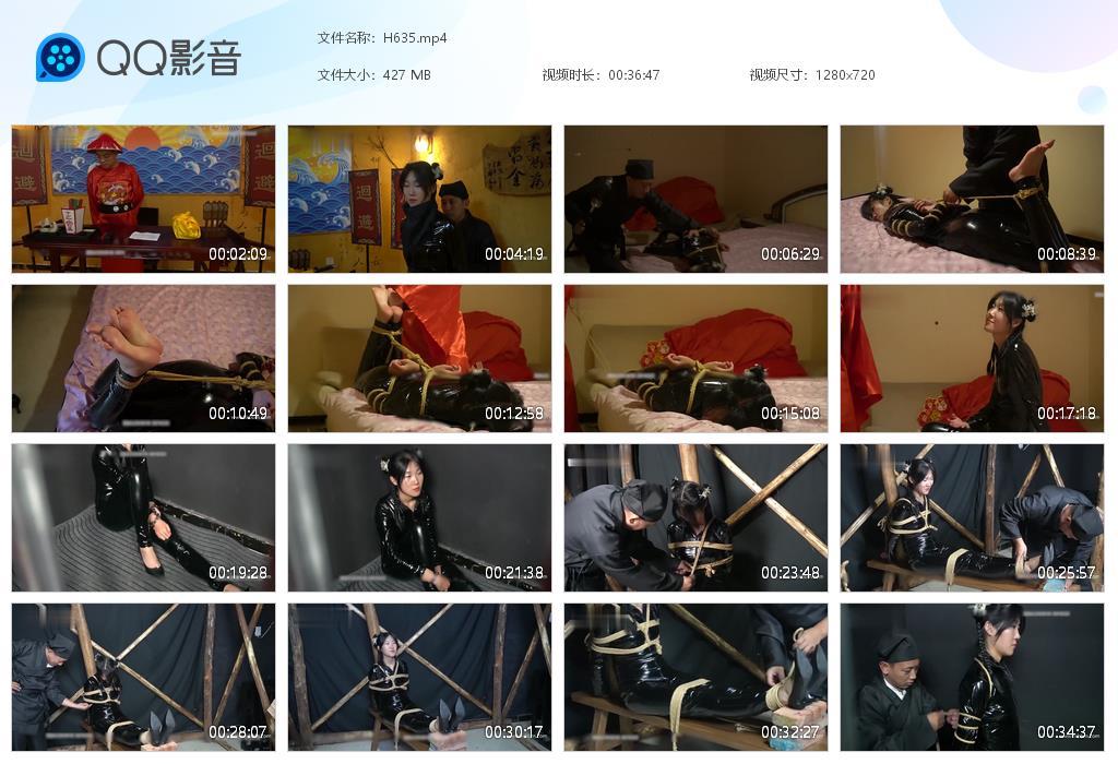 G.jpg 黑胶女飞侠 - H635  第1张